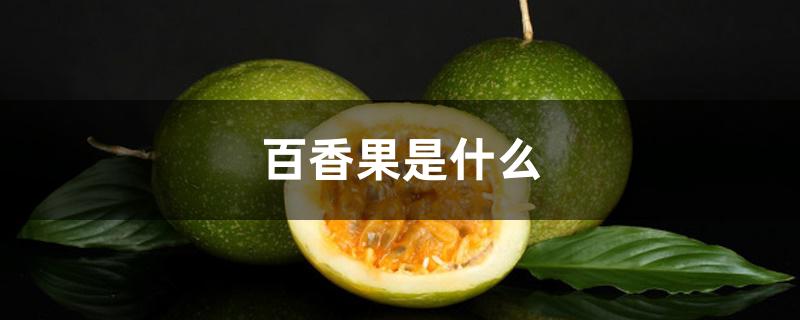 百香果是什么