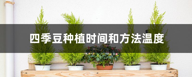 四季豆种植时间和方法温度