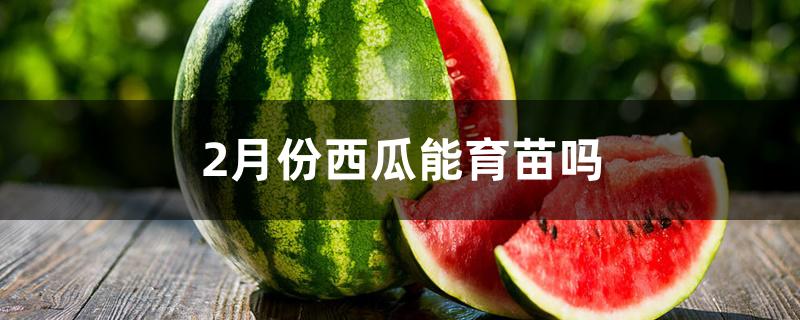 2月份西瓜能育苗吗