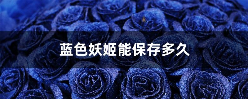 蓝色妖姬能保存多久