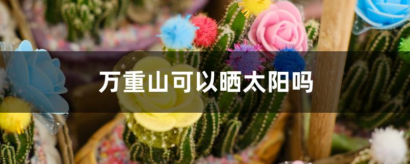 万重山可以晒太阳吗