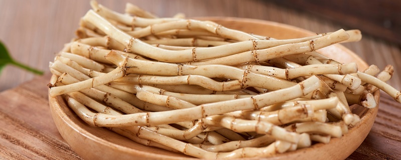 什么是鱼腥草鱼腥草长什么样