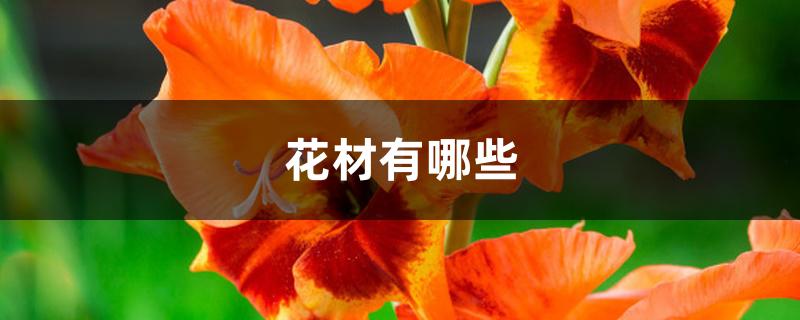 花材有哪些