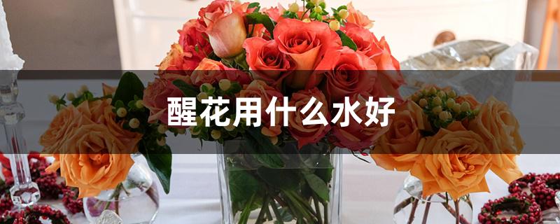 醒花用什么水好 醒花用什么水好