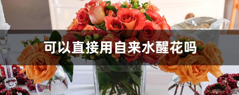 可以直接用自来水醒花吗