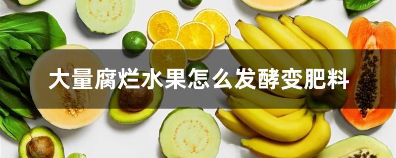 大量腐烂水果怎么发酵变肥料