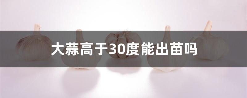 大蒜高于30度能出苗吗