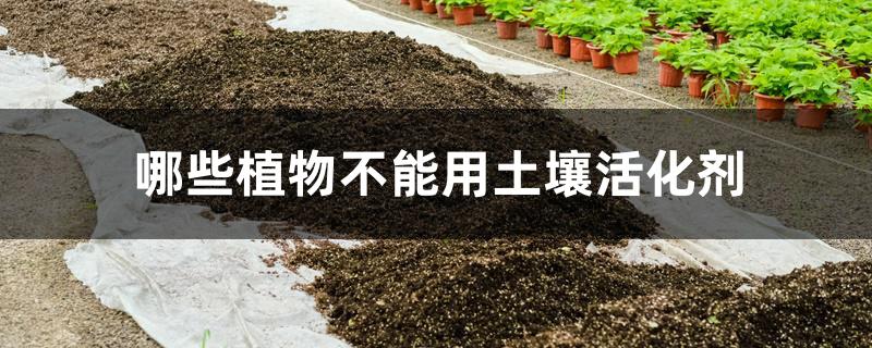 哪些植物不能用土壤活化剂