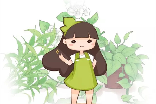 家家都有的小东西,拿来养花1年能省几千块 家家都有的小东西,拿来养花1年能省几千块