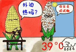 近40℃高温,花再不管,就只剩盆了! 近40℃高温,花再不管,就只剩盆了!
