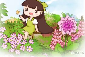 给花吃点肉喝点酒，保准越来越旺！