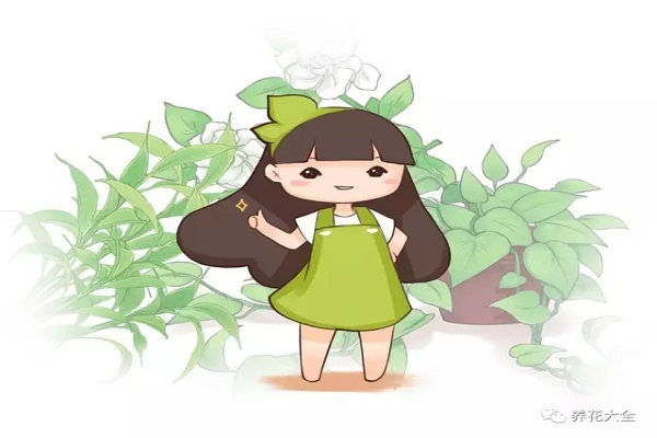 根全烂了,一刀下去,花能再活20年! 根全烂了,一刀下去,花能再活20年!