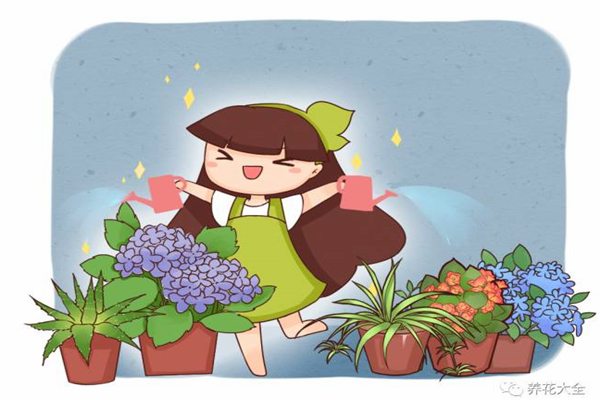 这些花总是死总是死,我都要绝望了…… 这些花总是死总是死,我都要绝望了……
