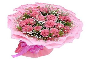 康乃馨花束怎么养