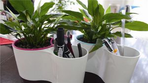 塑料花盆养花好吗