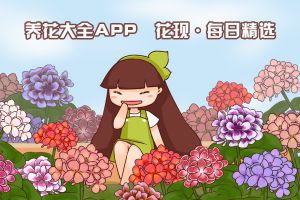 下载养花大全APP,每日晒花赢大奖!