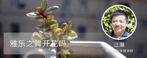 雅乐之舞开花吗，开花之后会死吗
