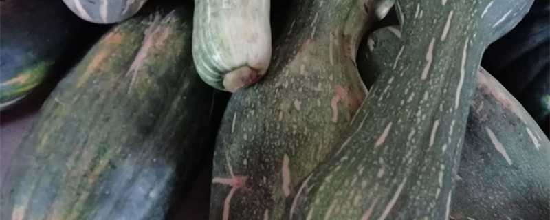 南瓜可以生吃吗,吃南瓜的好处有哪些 南瓜可以生吃吗,吃南瓜的好处有哪些
