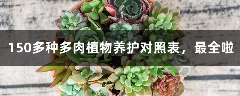 150多种多肉植物养护对照表，最全啦