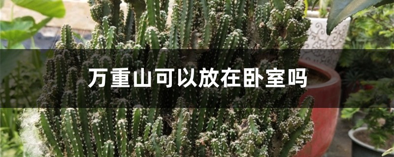 万重山可以放在卧室吗