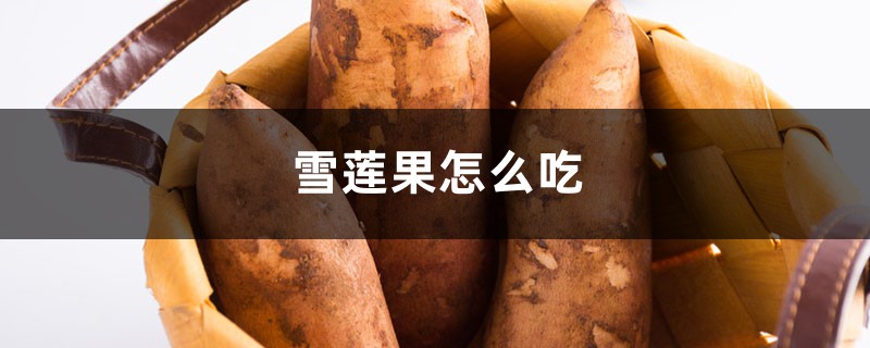 雪莲果怎么吃,雪莲果孕妇可以吃吗 雪莲果怎么吃,雪莲果孕妇可以吃吗