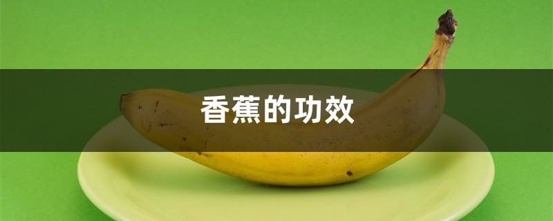 香蕉的功效作用和营养价值 香蕉的功效作用和营养价值