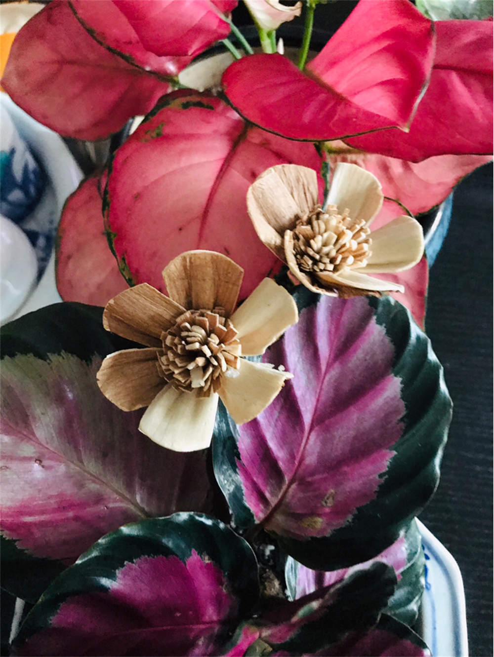 花卉