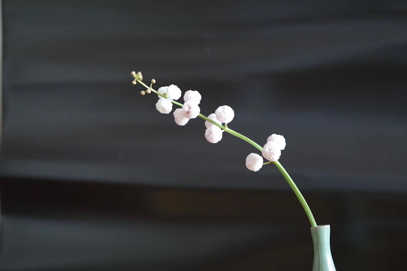 可以吃的茨菰