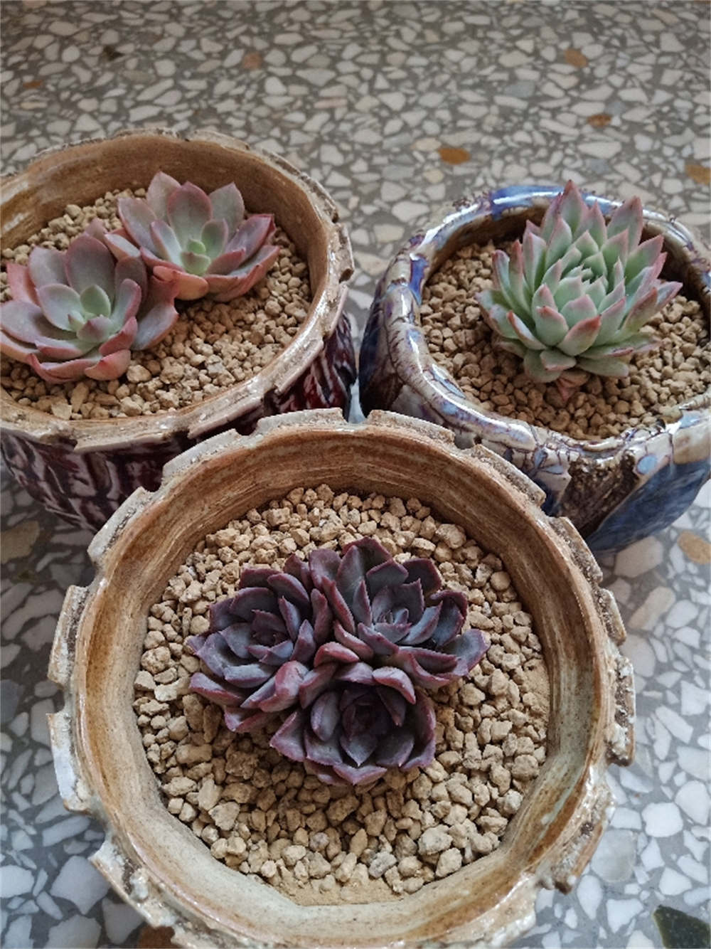 花卉