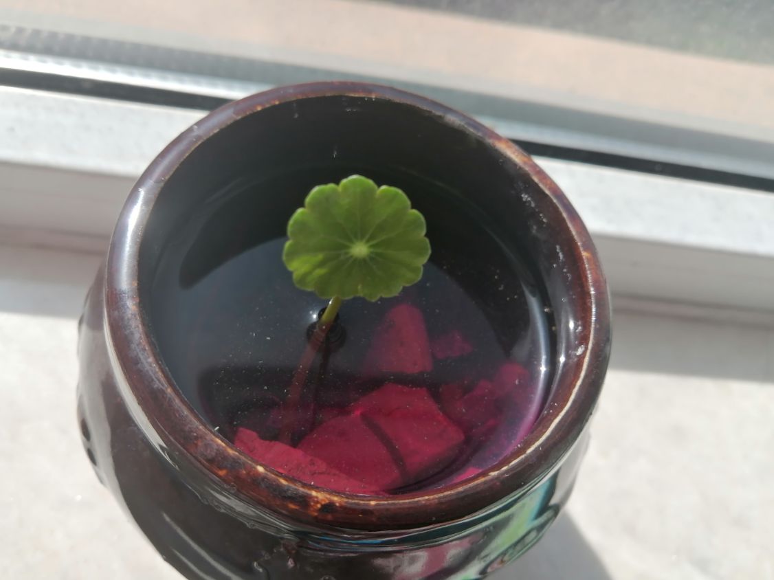 高锰酸钾