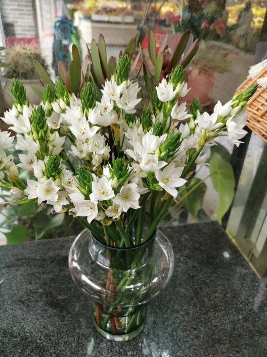 鲜花