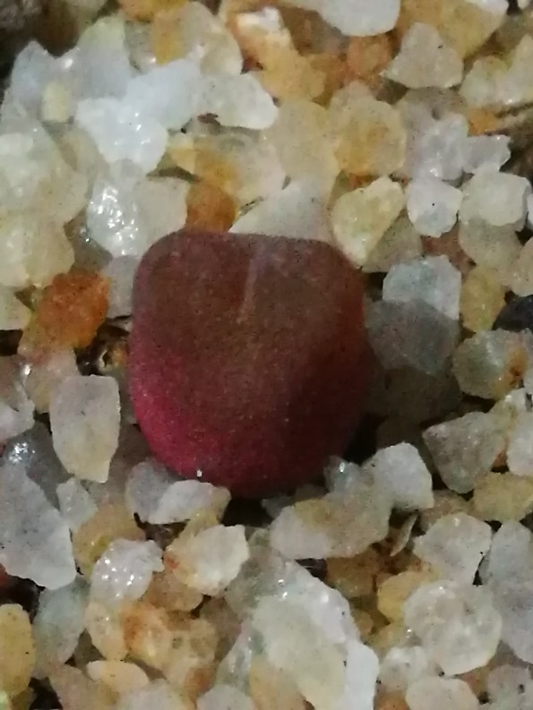 毛汉尼