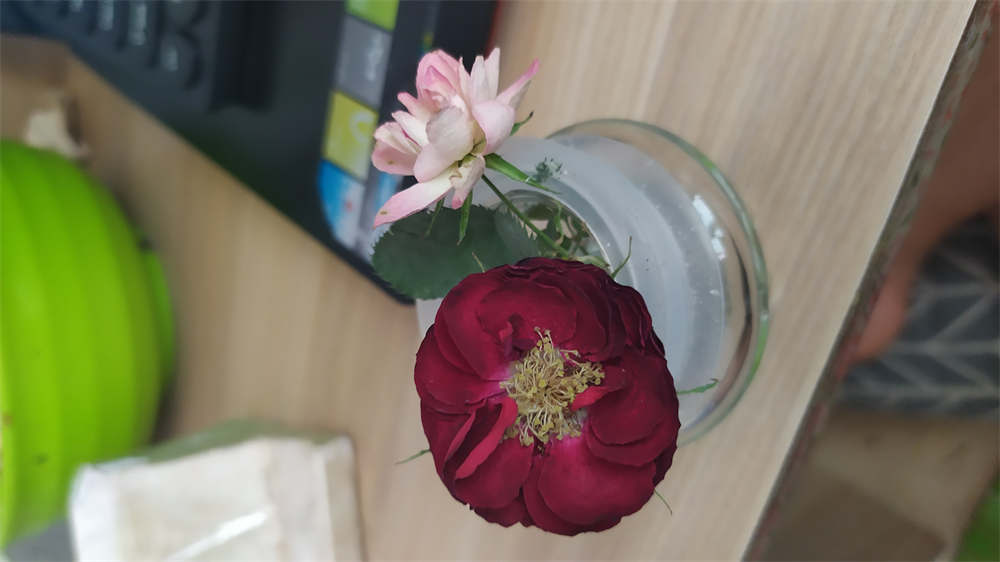 永生花