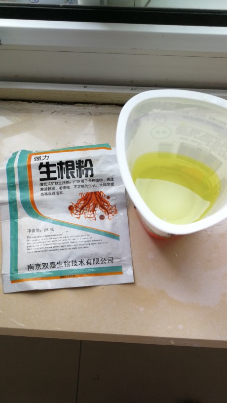 生根水