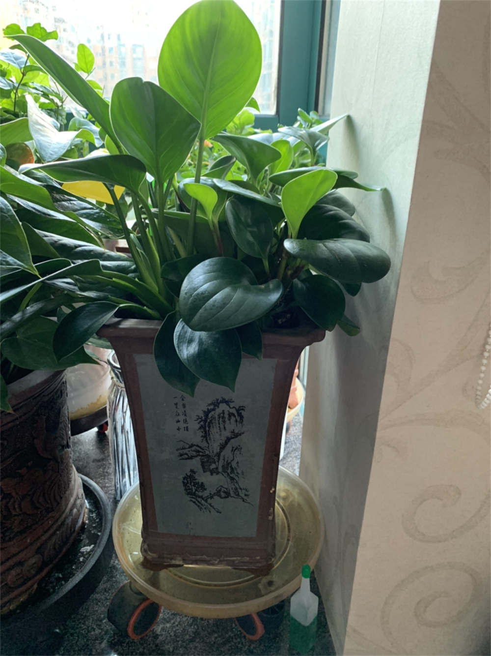 花卉