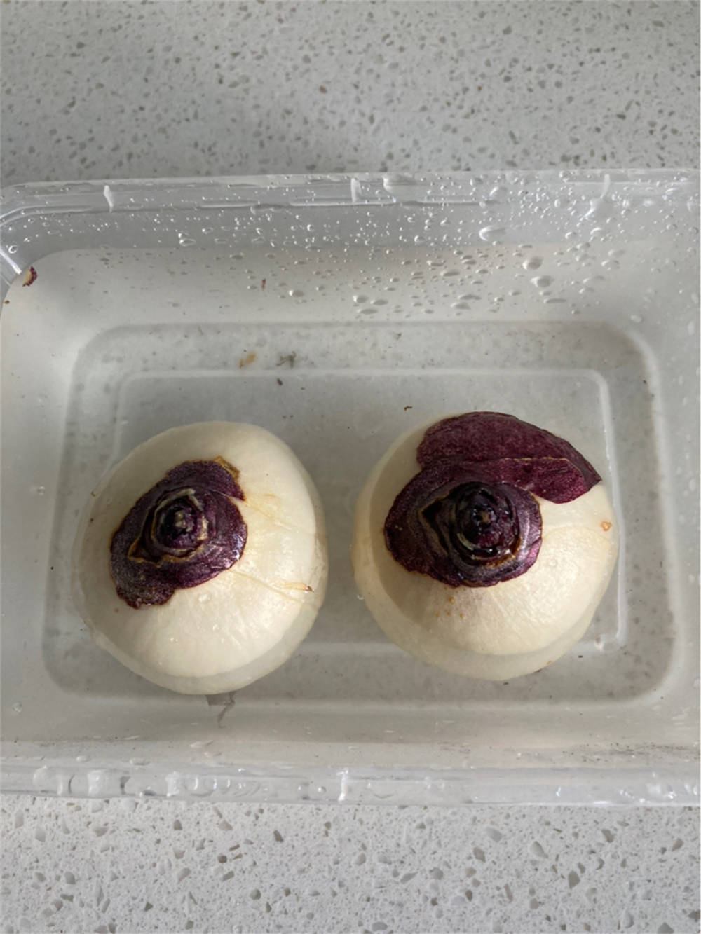生根水