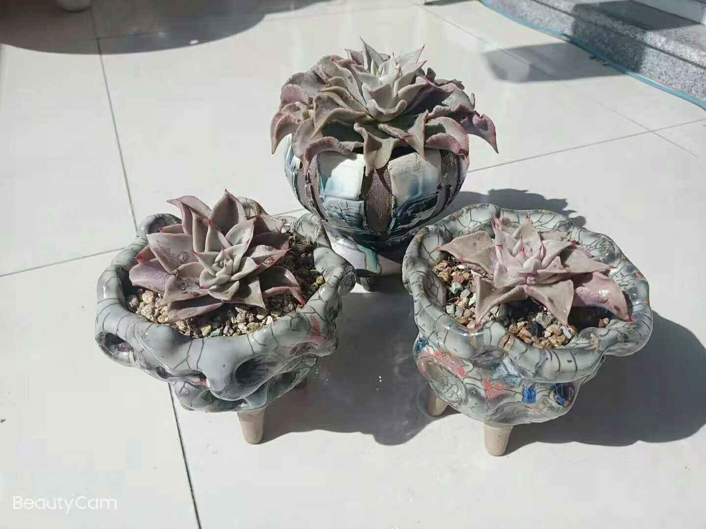 饺子皮多肉