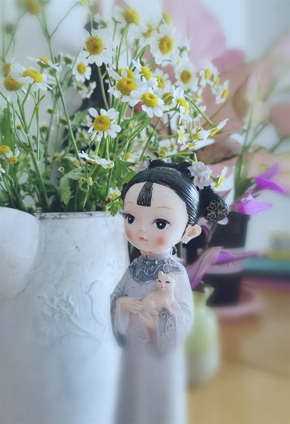 小雏菊