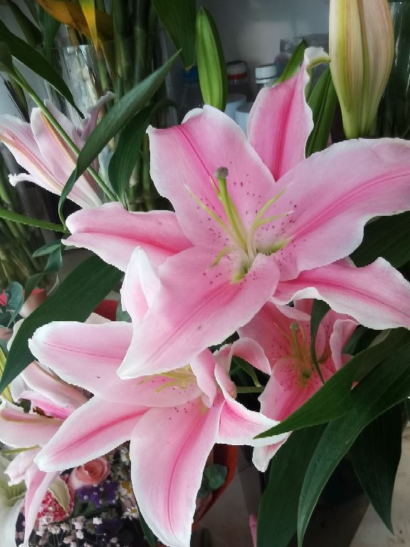 花卉